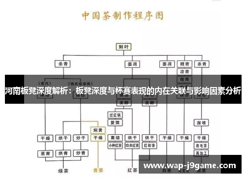 河南板凳深度解析：板凳深度与杯赛表现的内在关联与影响因素分析